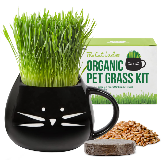 gifts-for-cat-moms-cat-grass-kit