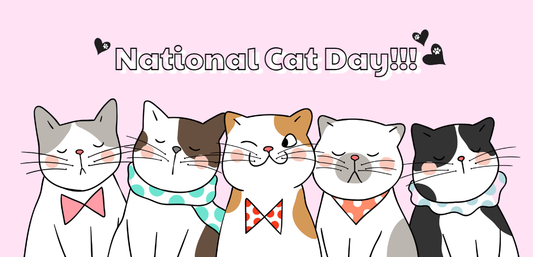national-cat-day